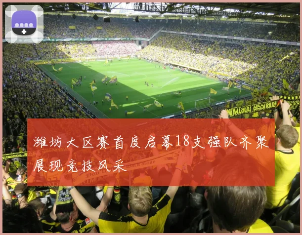 潍坊大区赛首度启幕18支强队齐聚展现竞技风采